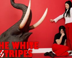 The White Stripes – Cover