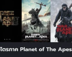 Planet of The Apes Cover